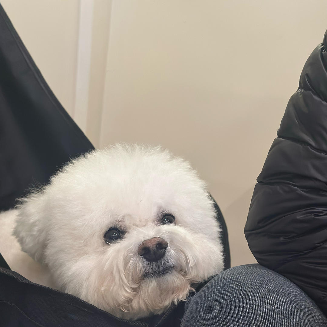 小白做菜被注册了