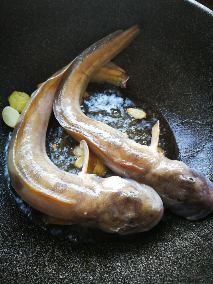 海鲶鱼炖豆腐的做法 步骤5