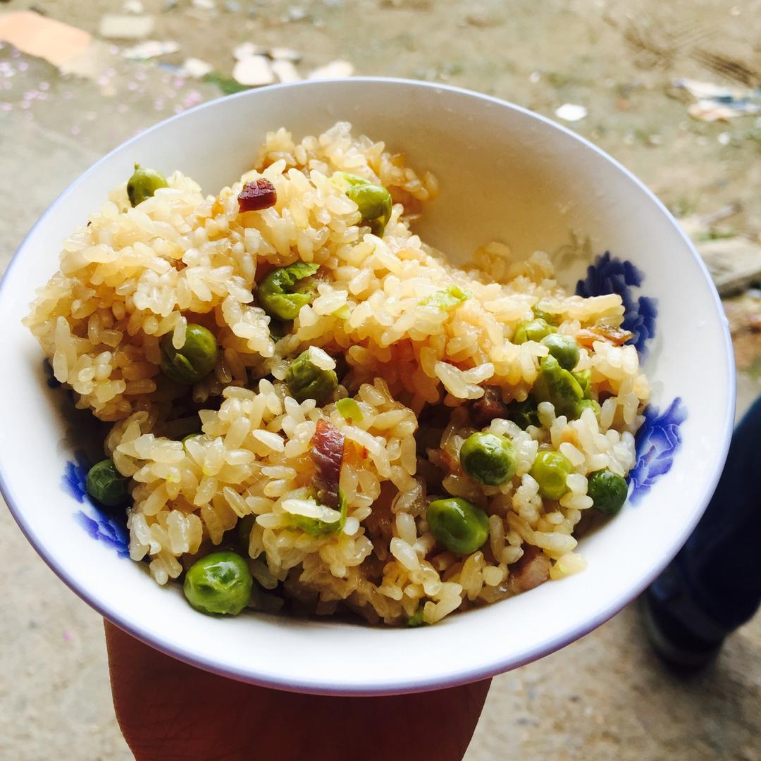 花落生果实，可以吃