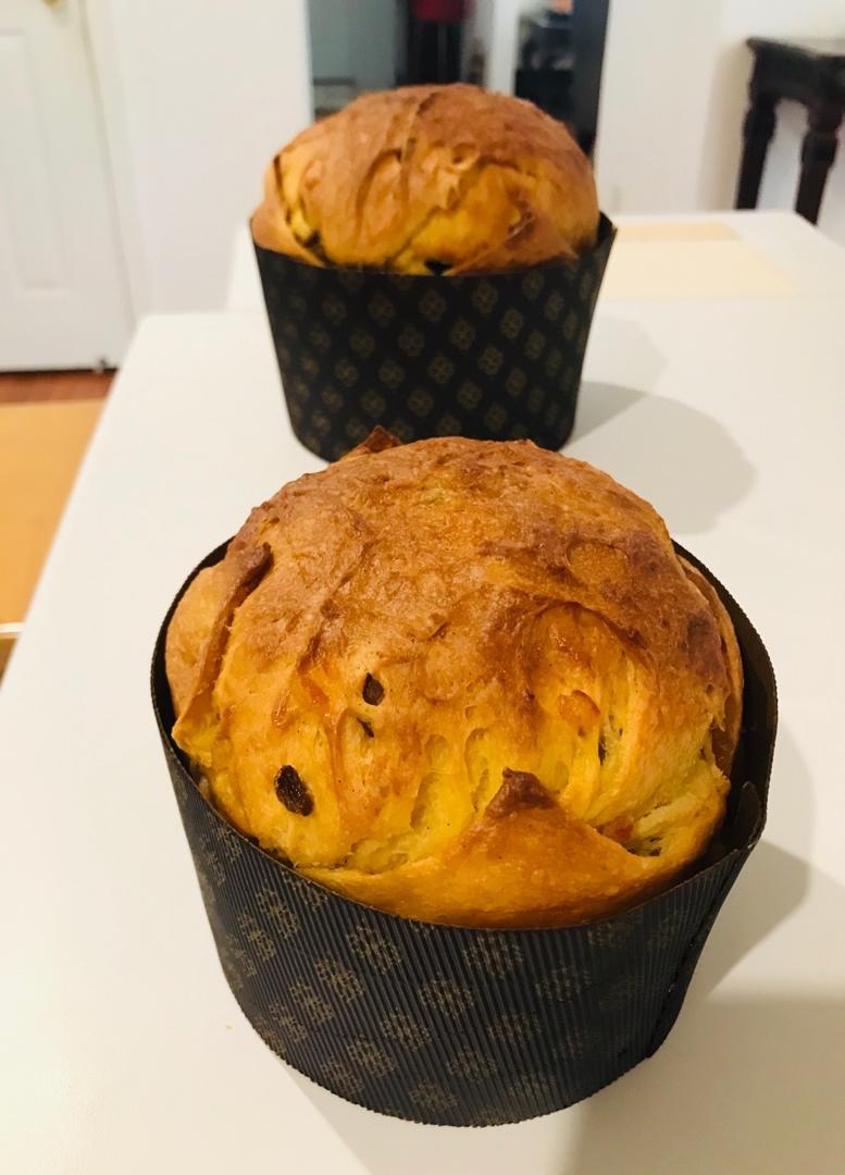 潘娜托尼(天然酵母版) Sourdough Panettone