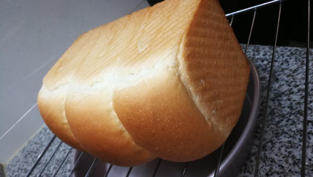 全麦吐司（70%冷藏中种法）