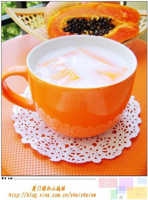 椰奶炖木瓜糖水的做法