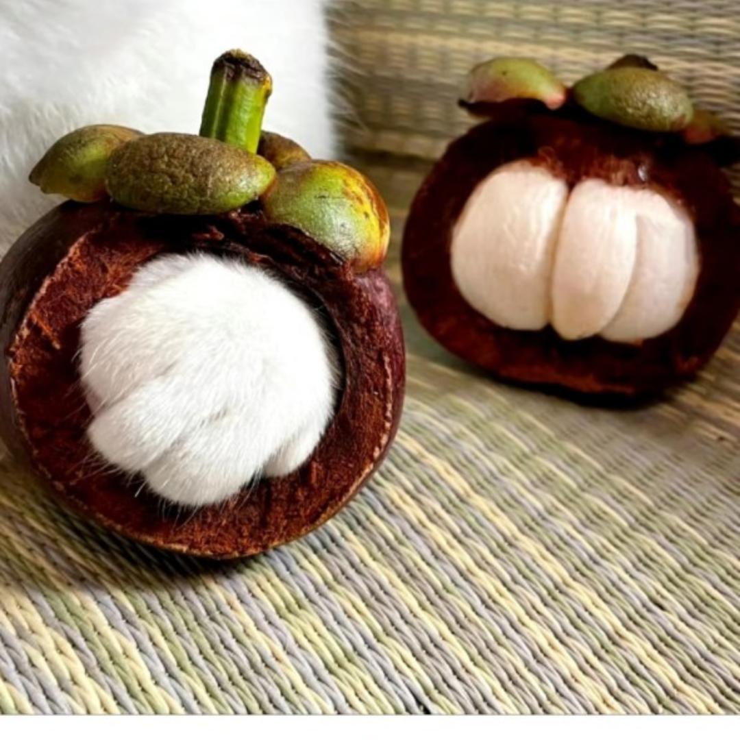 小瓢美食日记