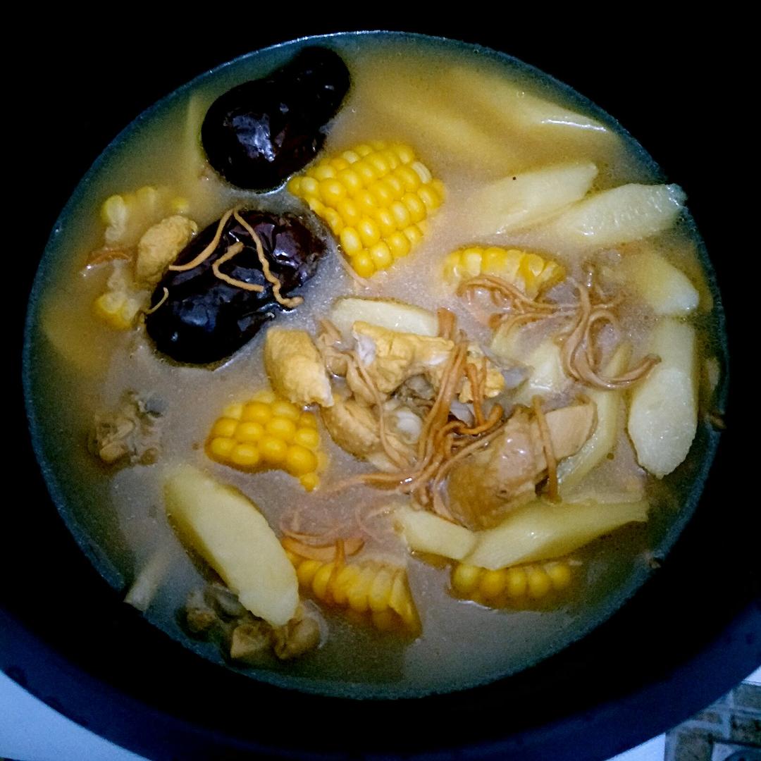 虫草花玉米排骨汤