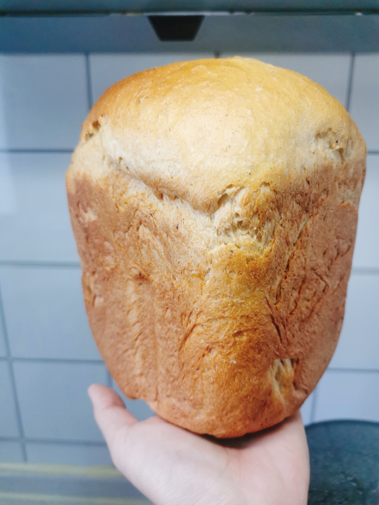 面包机做全麦软吐司