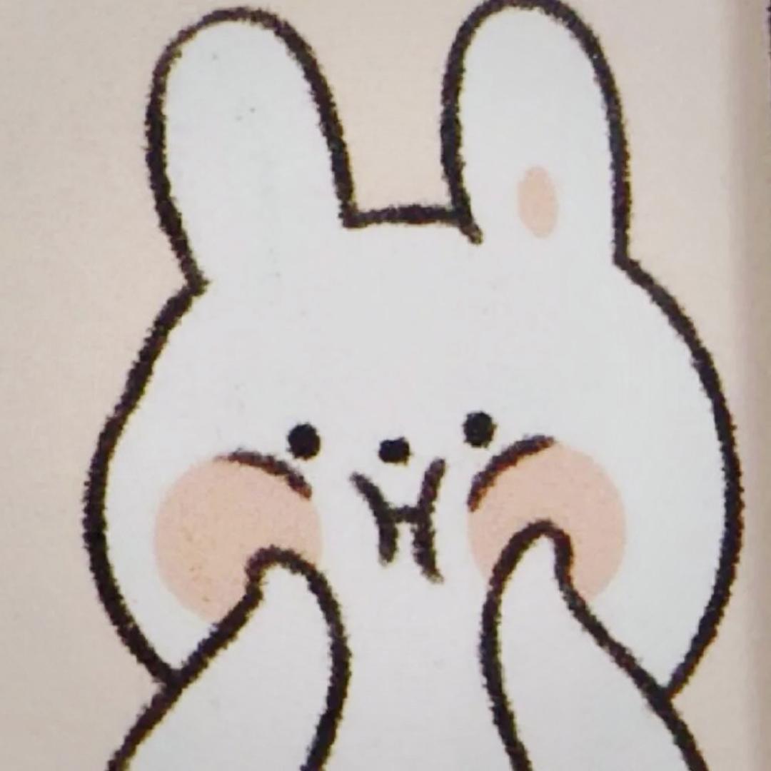 小黄干饭日记