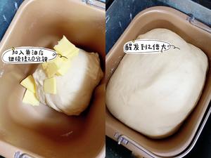 超级简单的豆沙排包｜面包的做法 步骤2