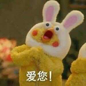 阿阿阿阿阿吃鱼