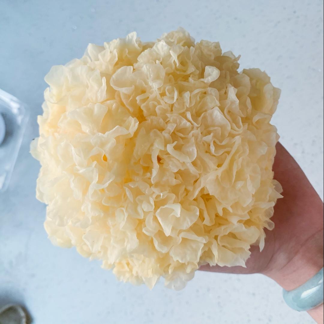 鲜银耳红枣汤 十分钟出胶