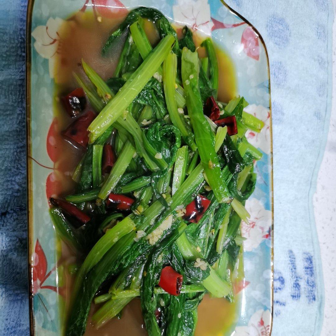 蒜蓉油麦菜（蚝油）