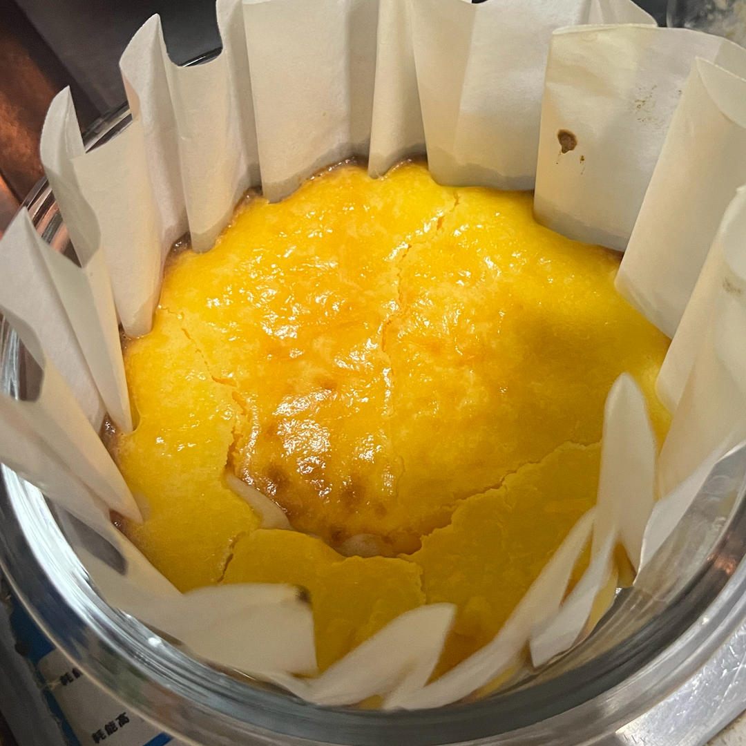 超爱的巴斯克 4寸
