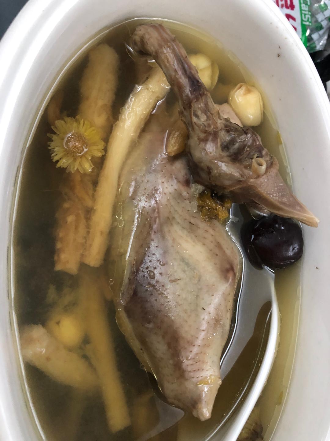 炖鸽子汤的做法