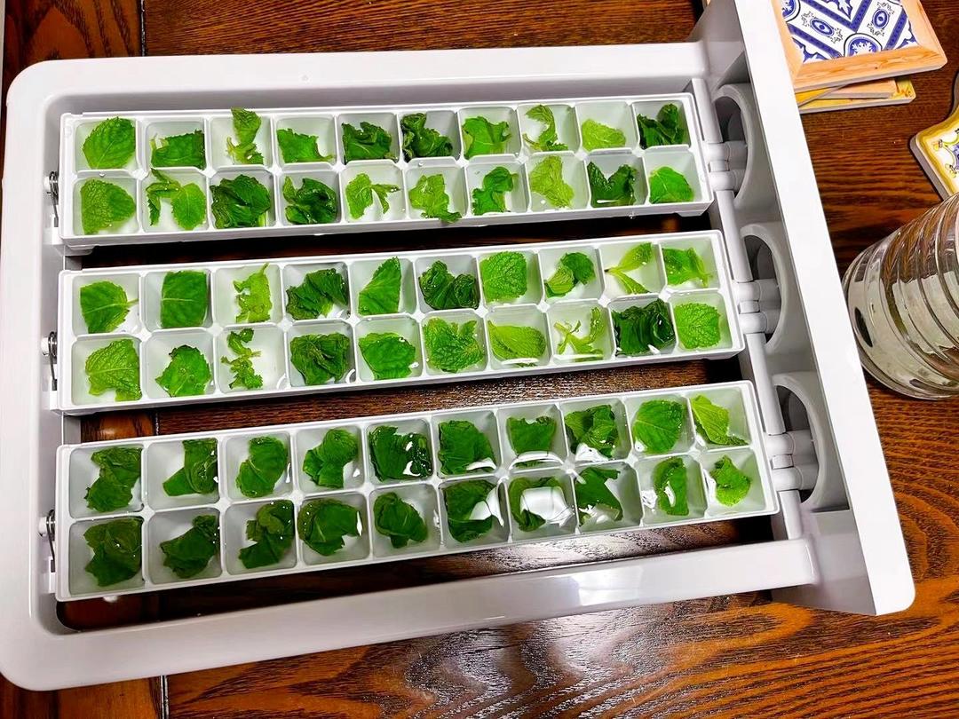 新鲜薄荷叶保存