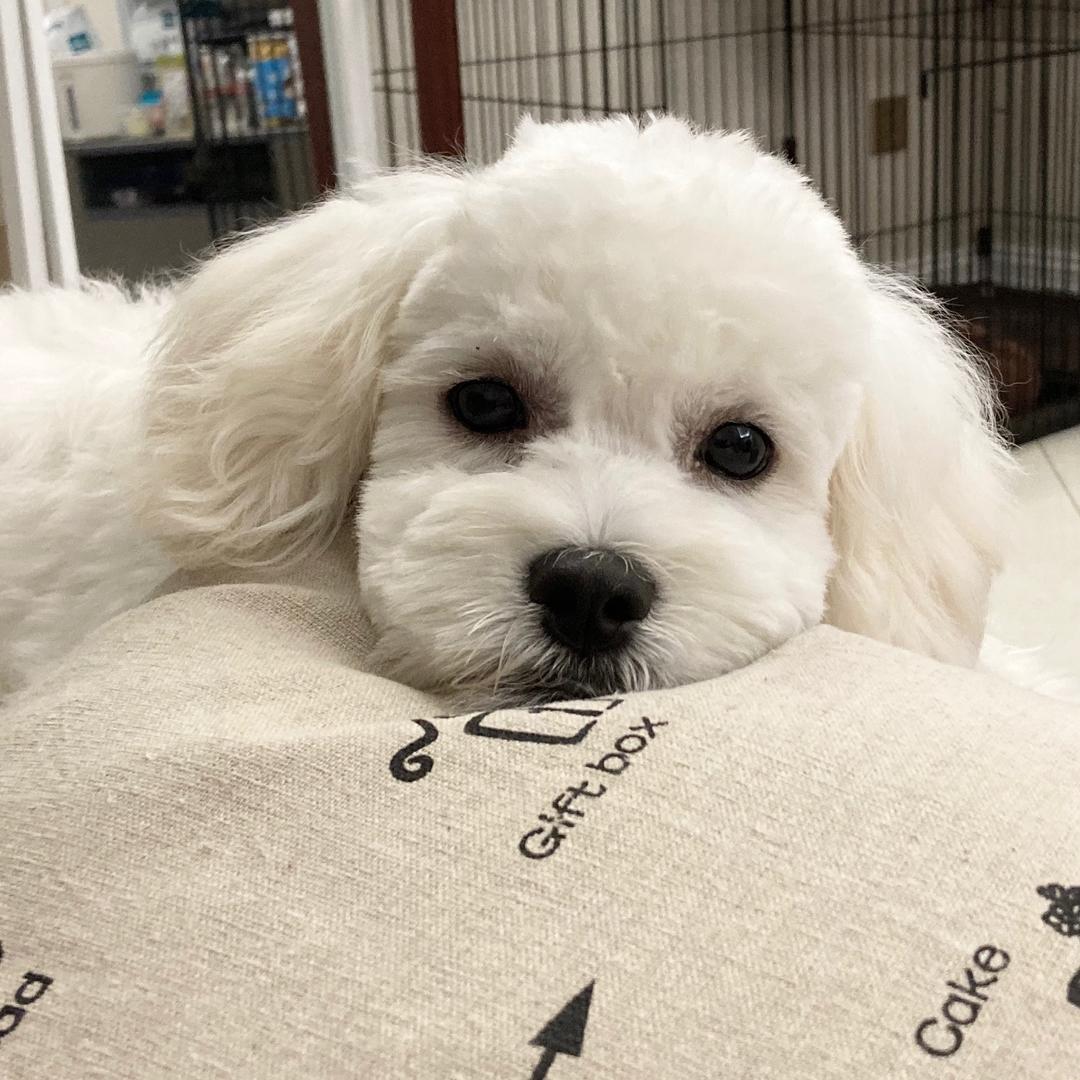 今儿吃啥QAQ
