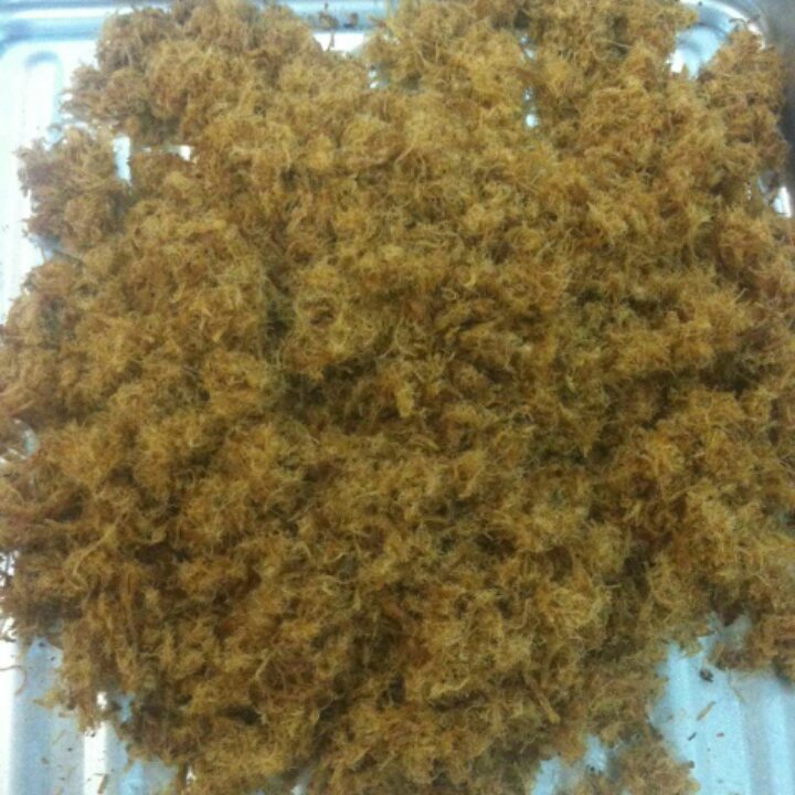 家庭自制肉松（非面包机版）