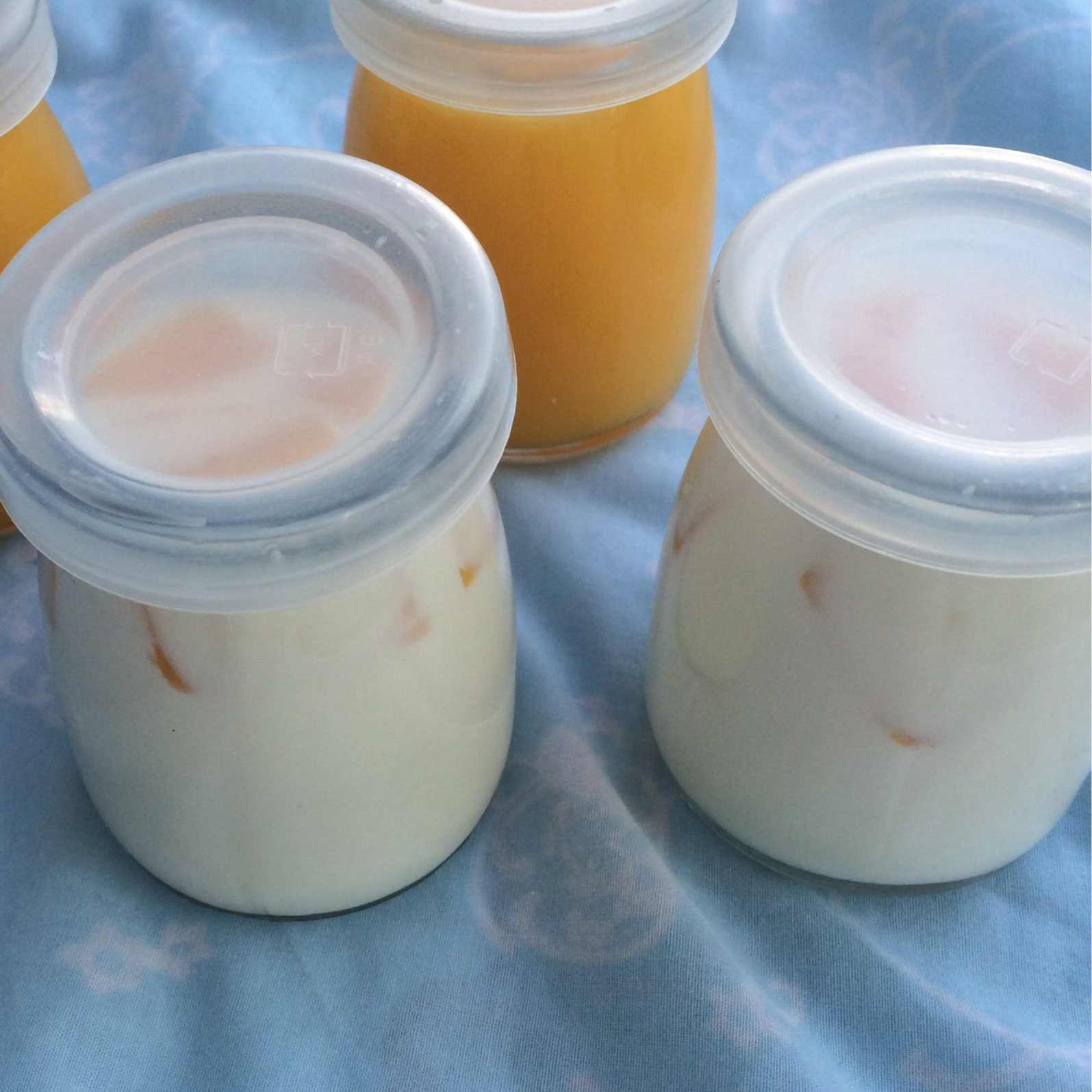 完美牛奶布丁（吉利丁片版）