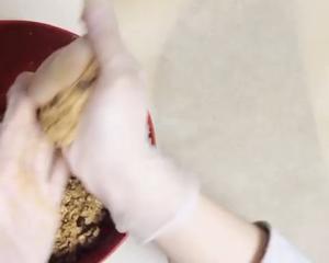 红糖燕麦瓜子葡萄干🍪软曲奇的做法 步骤7