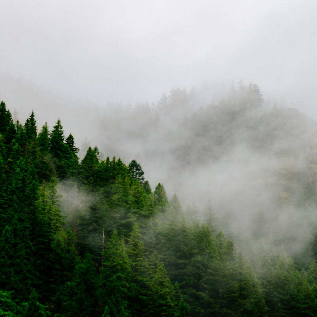 姓名太长写不下