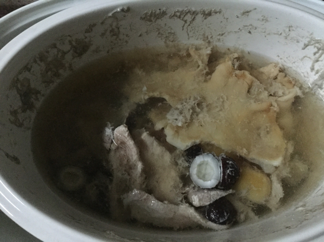 新西兰花胶炖海椰皇