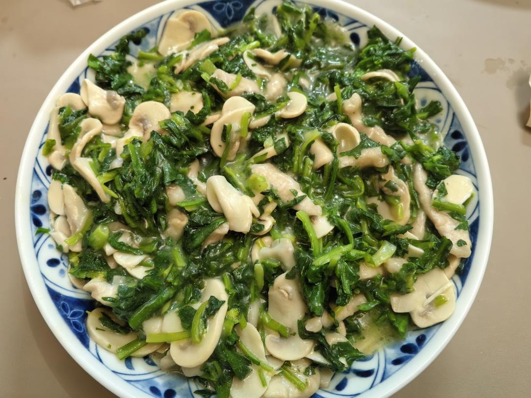 【春日时蔬小炒】荠菜蘑菇炒肉片