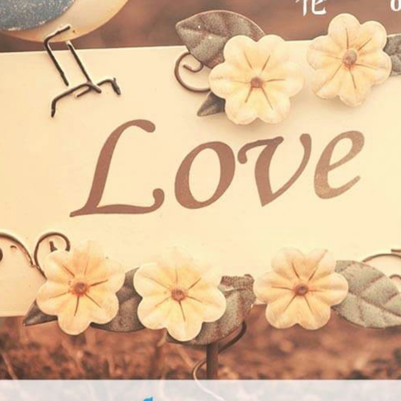 江苏来治猩猩的你