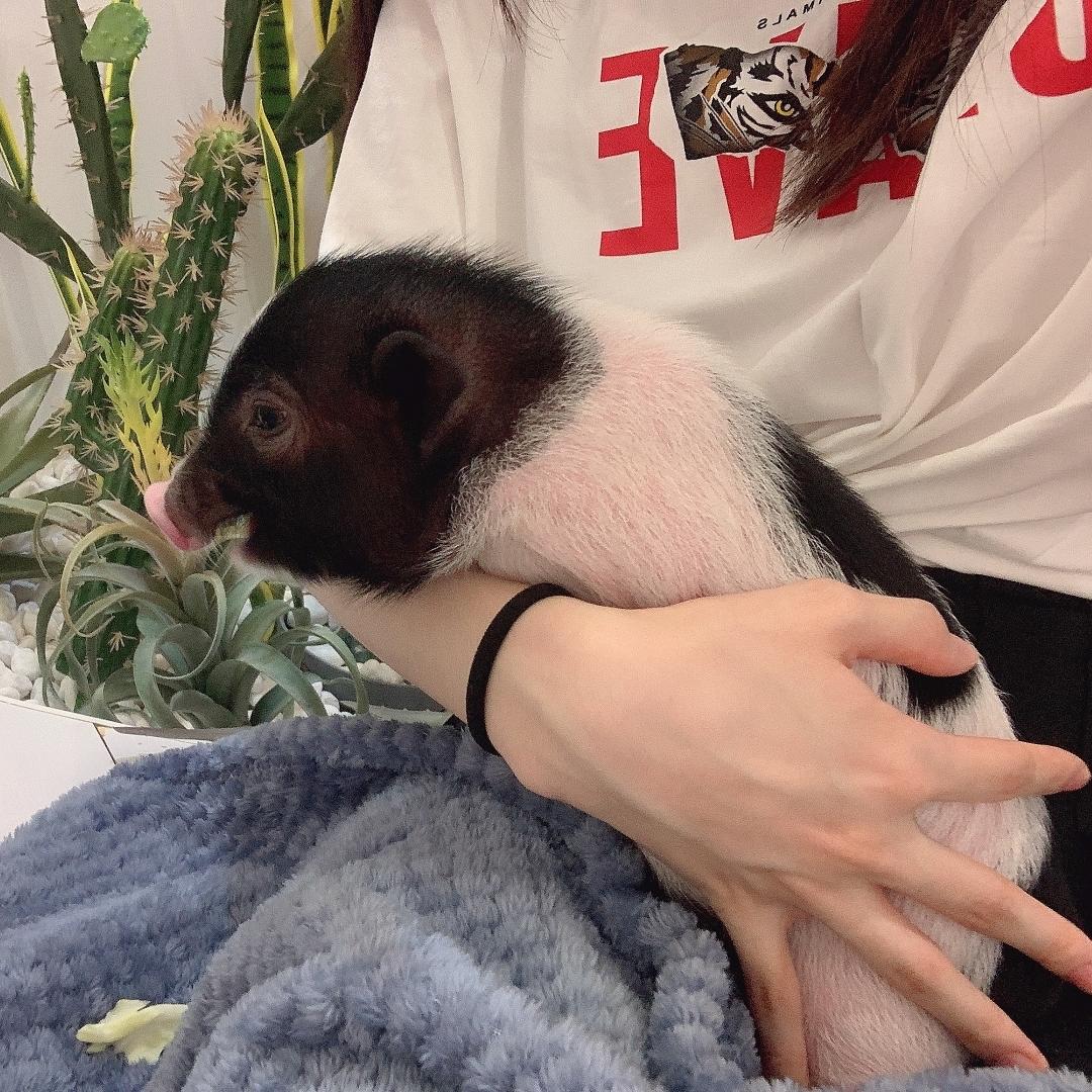 方圆努力学做饭