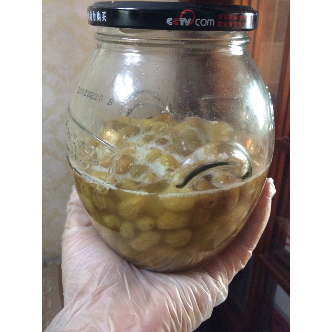 天然酵母宝宝养成记