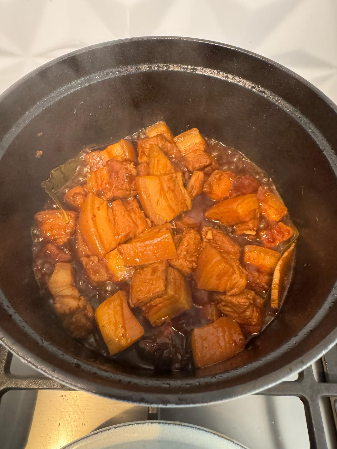 超简易炖肉（卤肉万能肉）