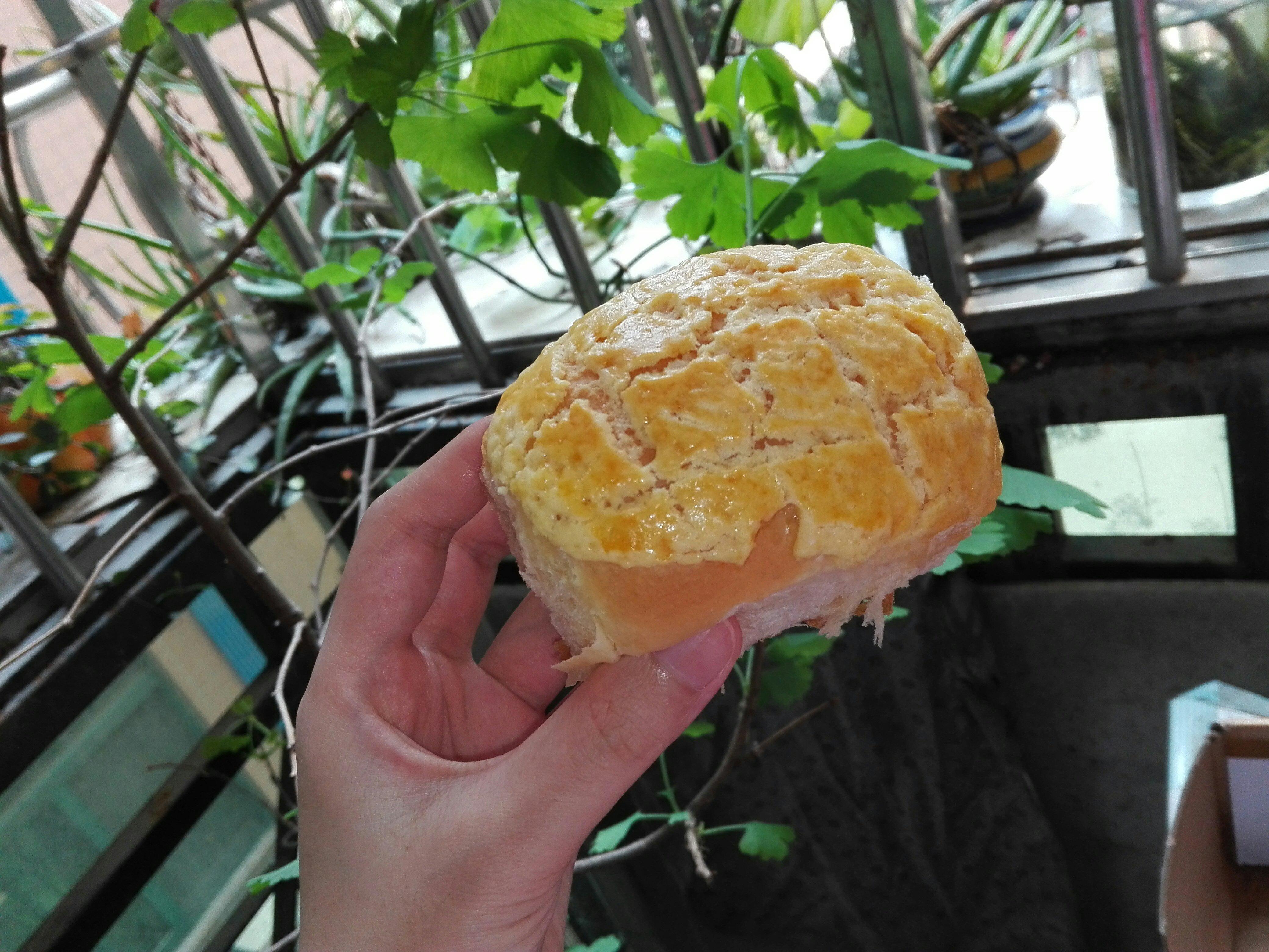 酥皮面包（分步制作＋冷藏发酵）的做法
