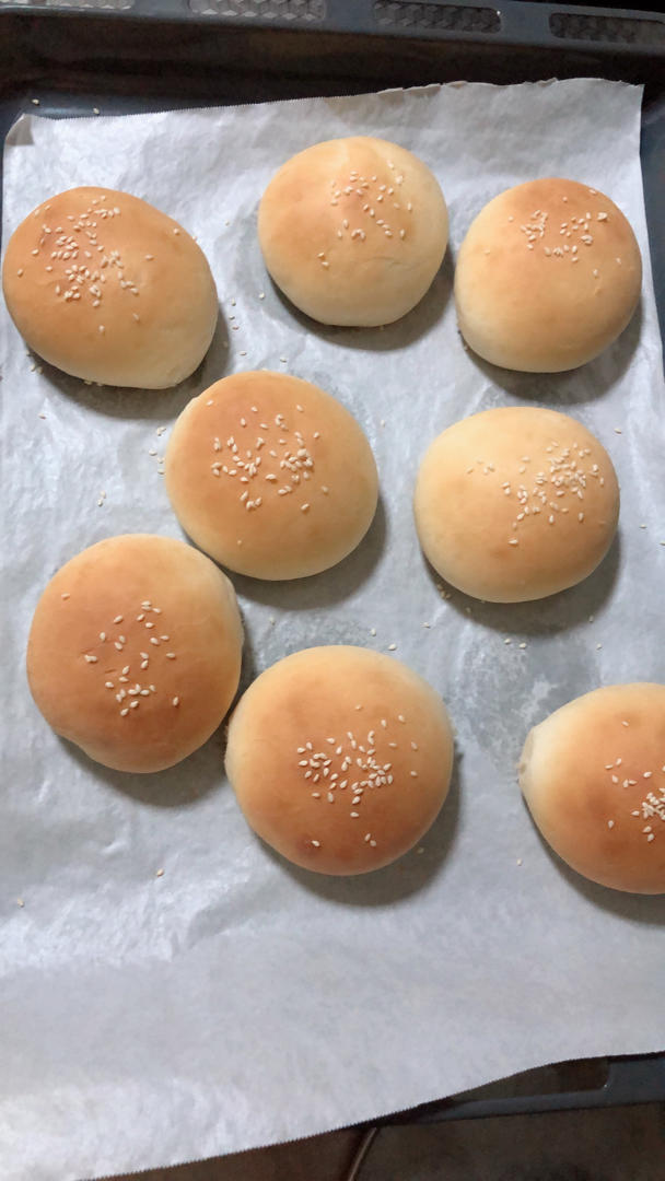 记录一个超级软的万用汉堡胚（波兰种）