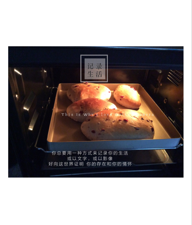 山寨原麦山丘 蔓越莓奶酪包