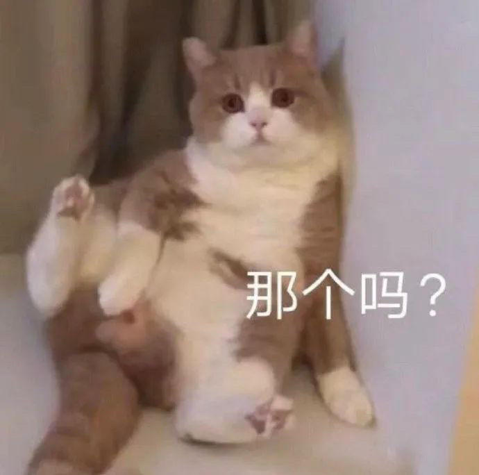 即应_
