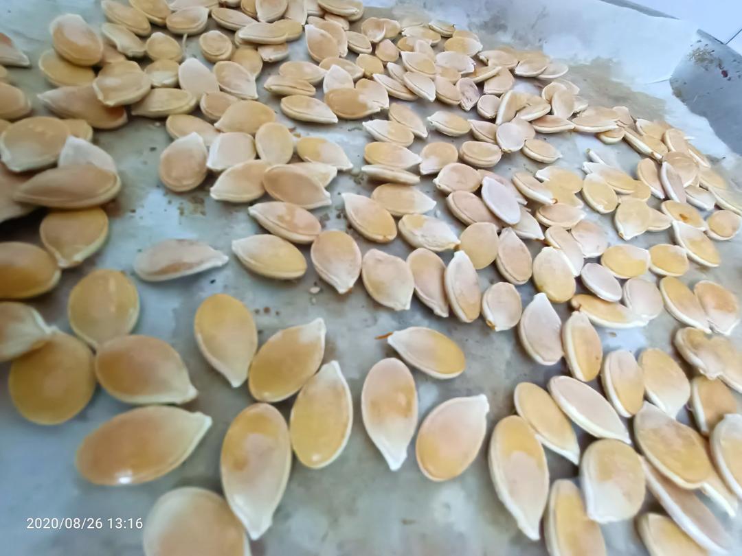 懒人版烤箱南瓜子