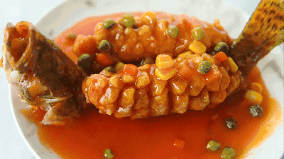 松鼠桂鱼