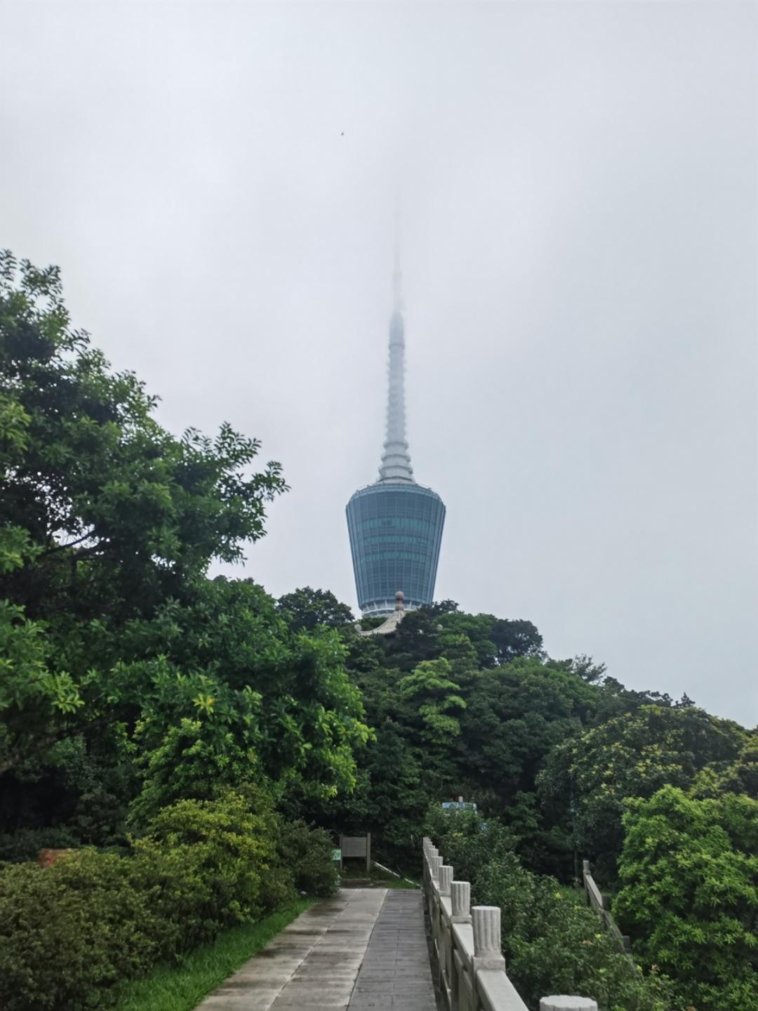 勇闯厨界