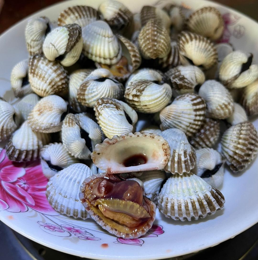 容易成功的烫血蛤