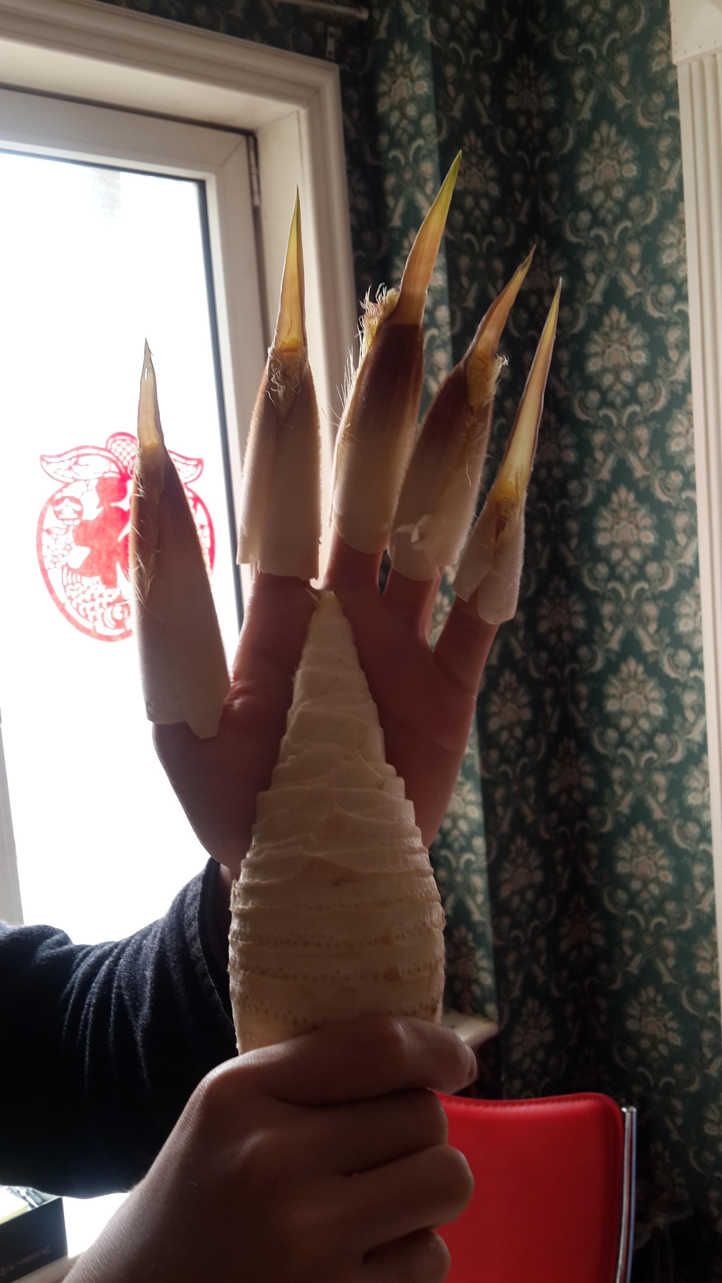 冬笋丶春笋的做法&如何轻松剥笋