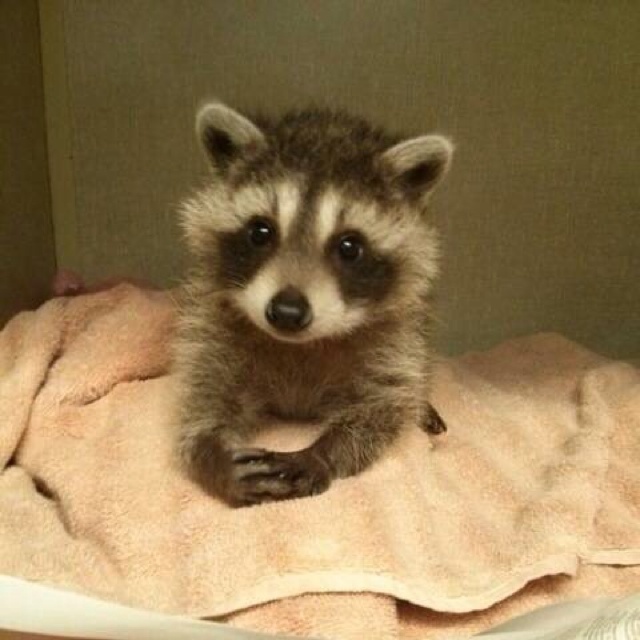 爱创新食物的小静