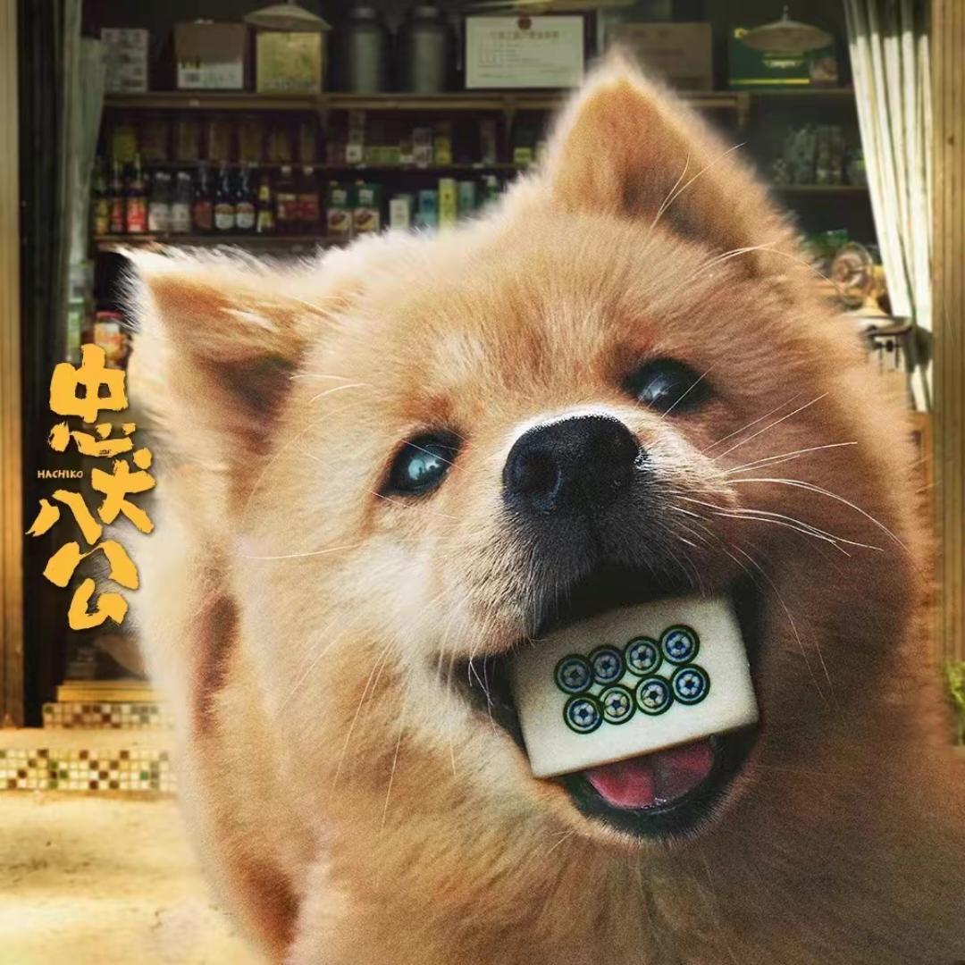 小团来啦