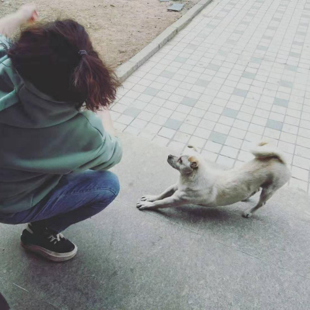 李小姐的喵厨房