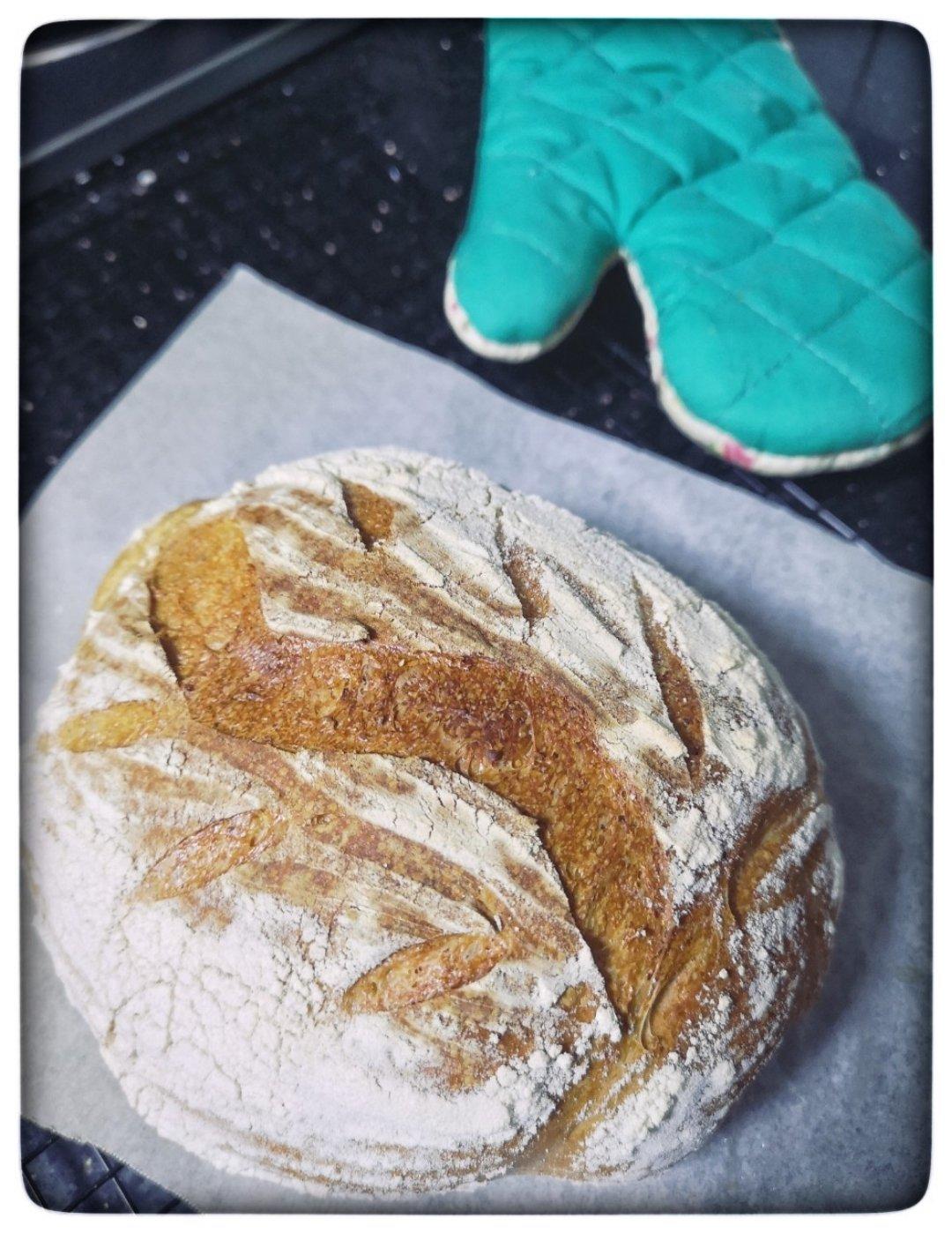 乡村面包（冷藏发酵）