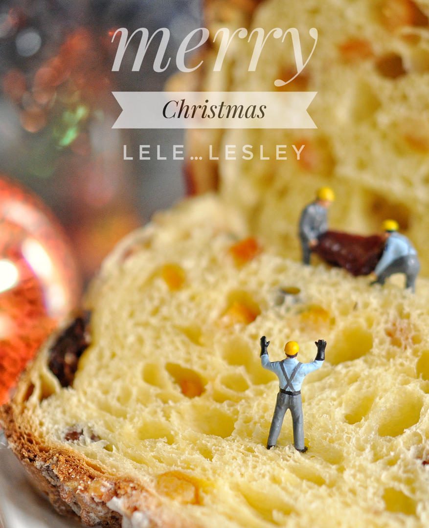 这是我送你们的圣诞礼物🎄潘妮托尼