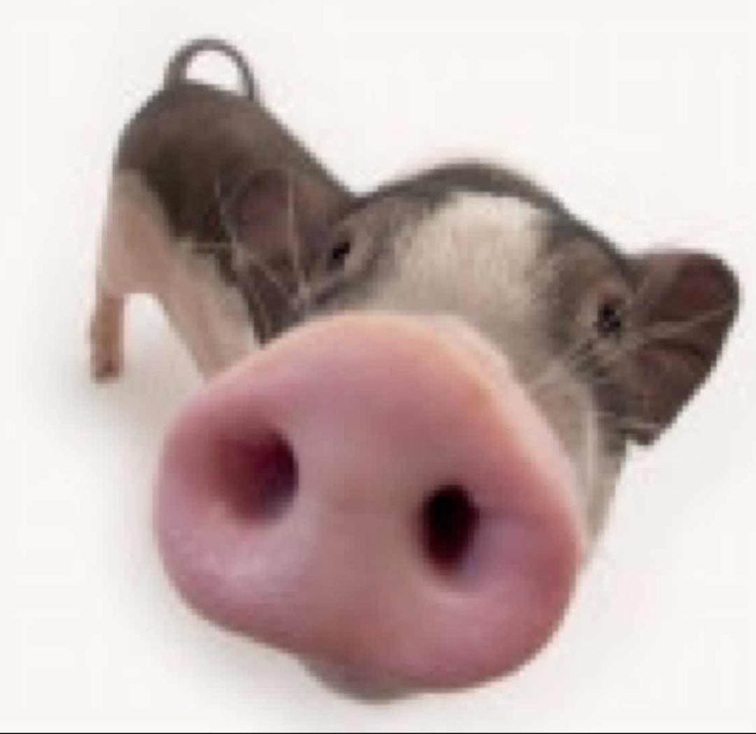 手机用户5687_y6pu