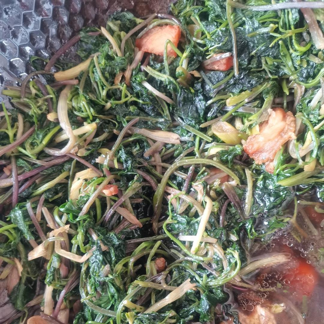 东北-家常山芹菜炒肉