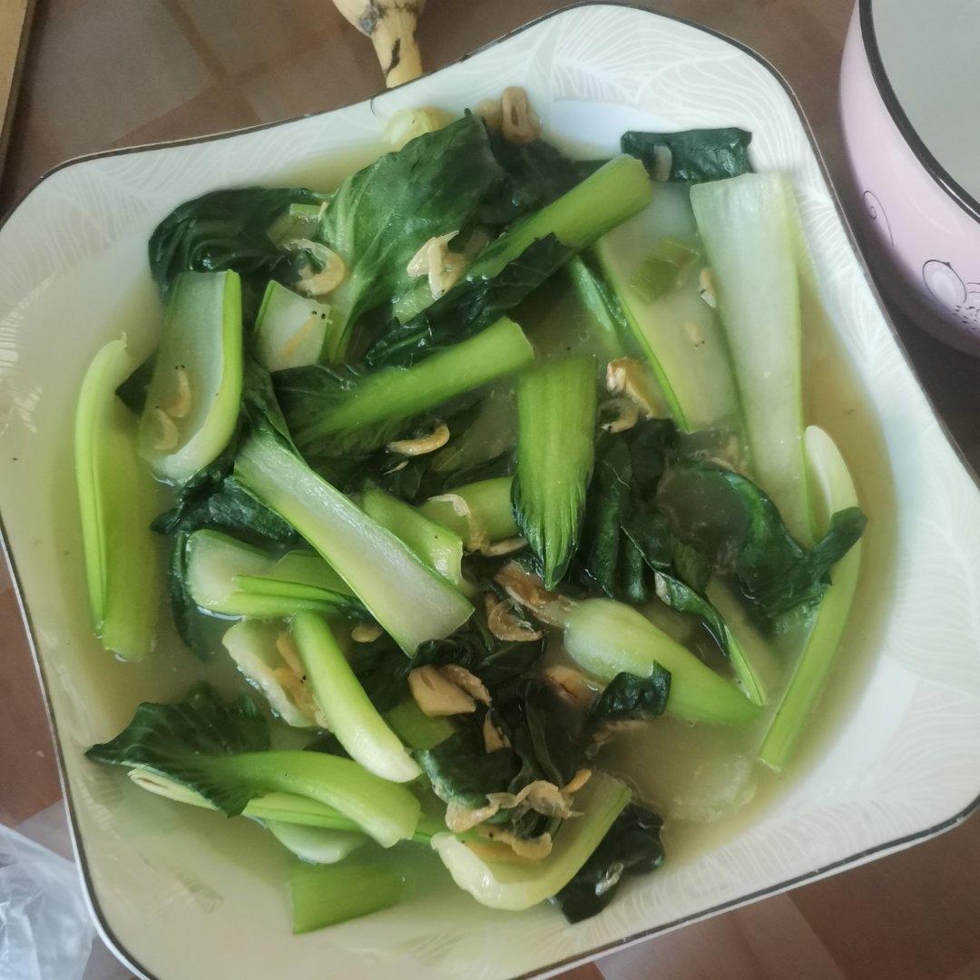 海米油菜