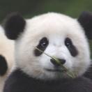小轩窗_qjbs