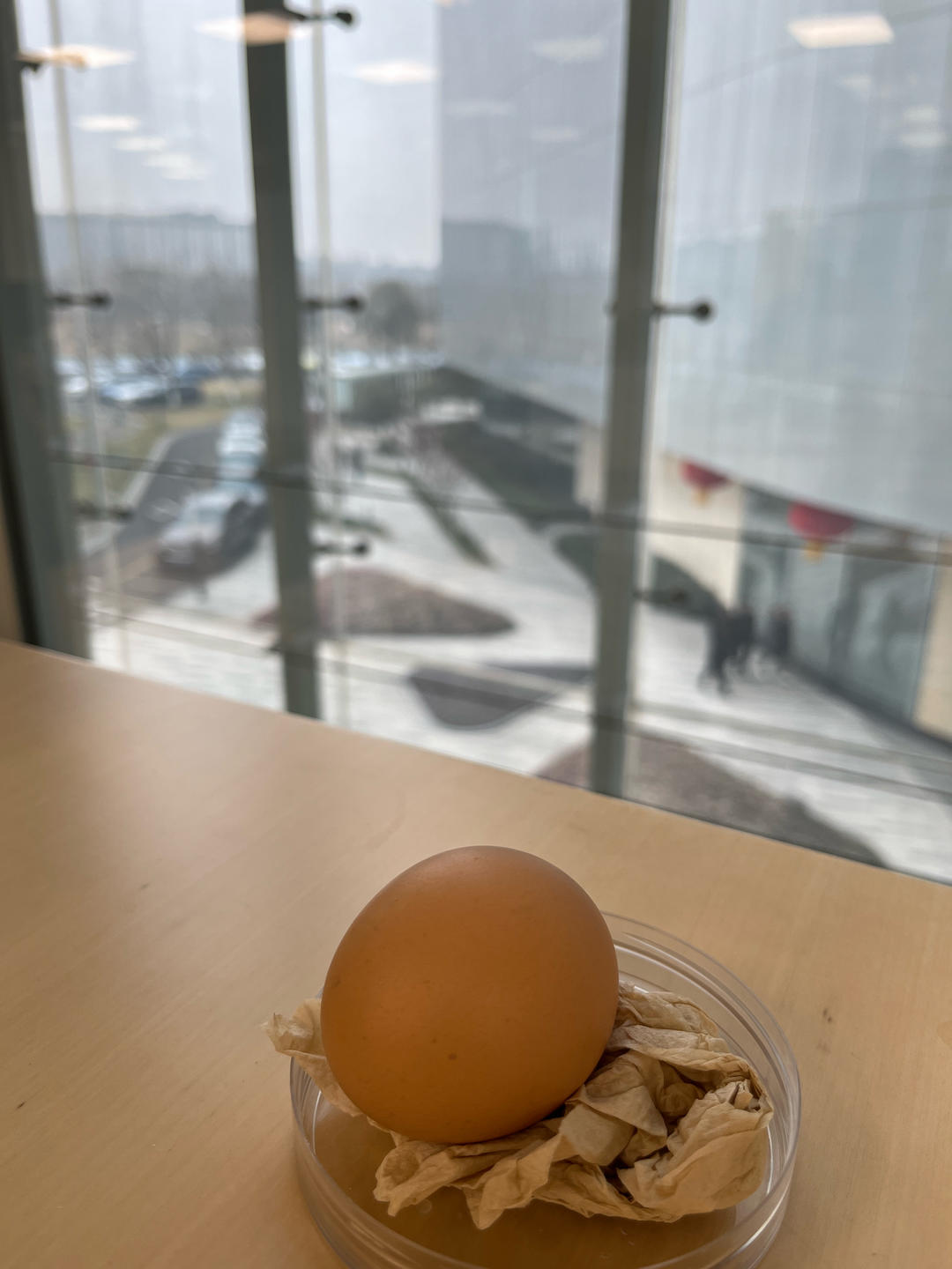 绝味溏心蛋（冷水煮蛋）