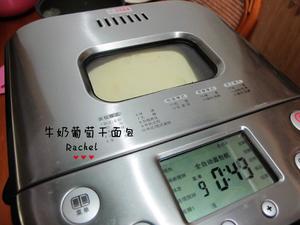 牛奶葡萄干面包（面包机版）的做法 步骤6