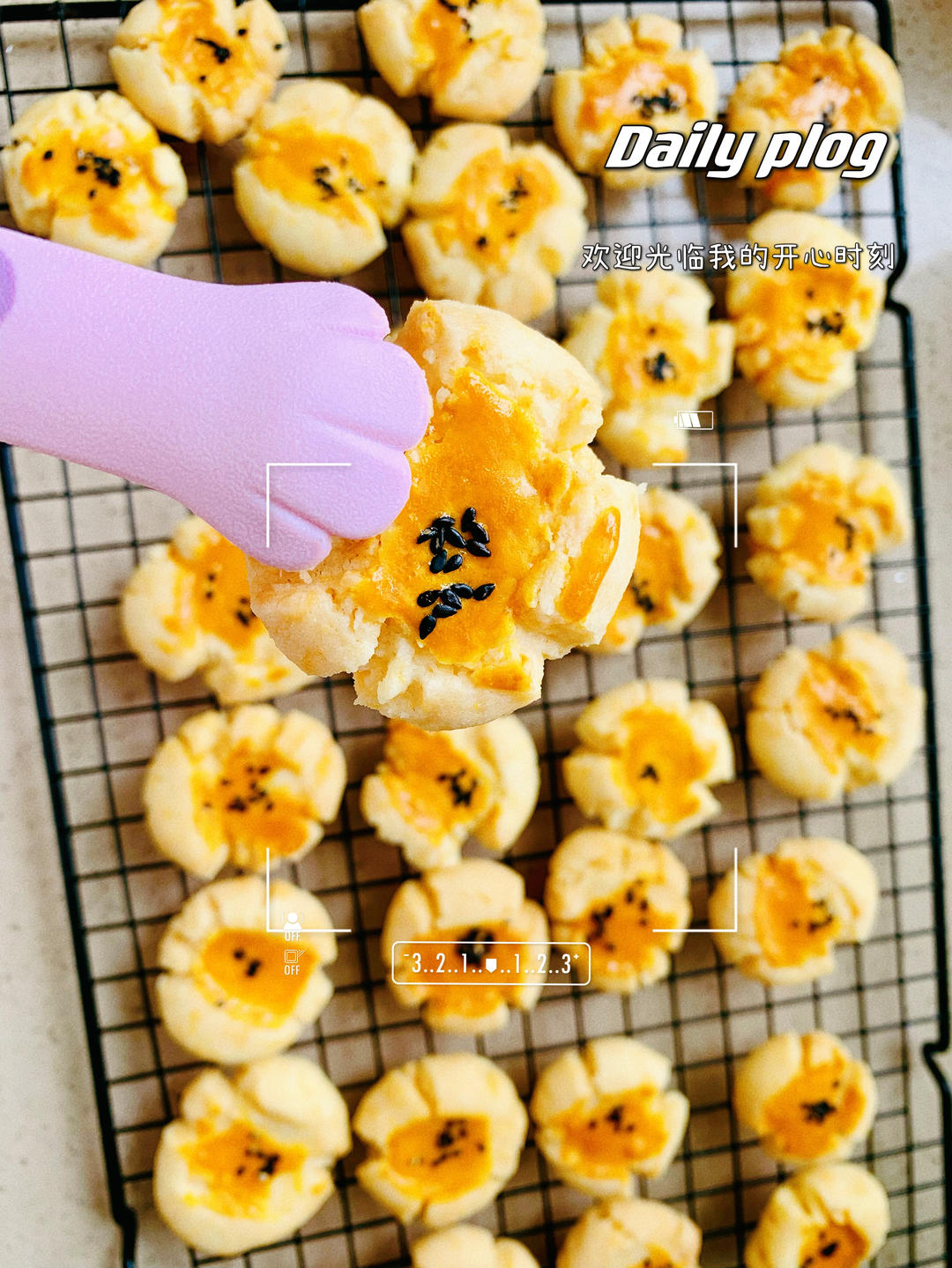 桃酥普通面粉～超简单零失败（老式）