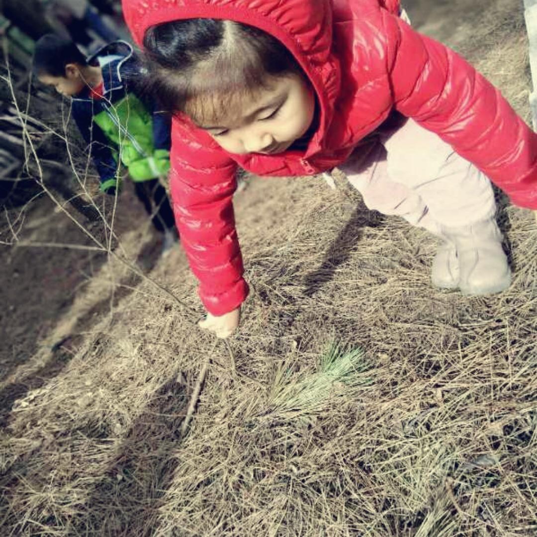 飞火蝴蝶之战警